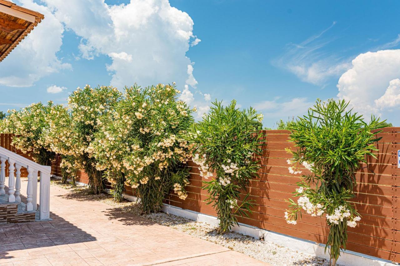 Blossom Villa لاغاناس المظهر الخارجي الصورة